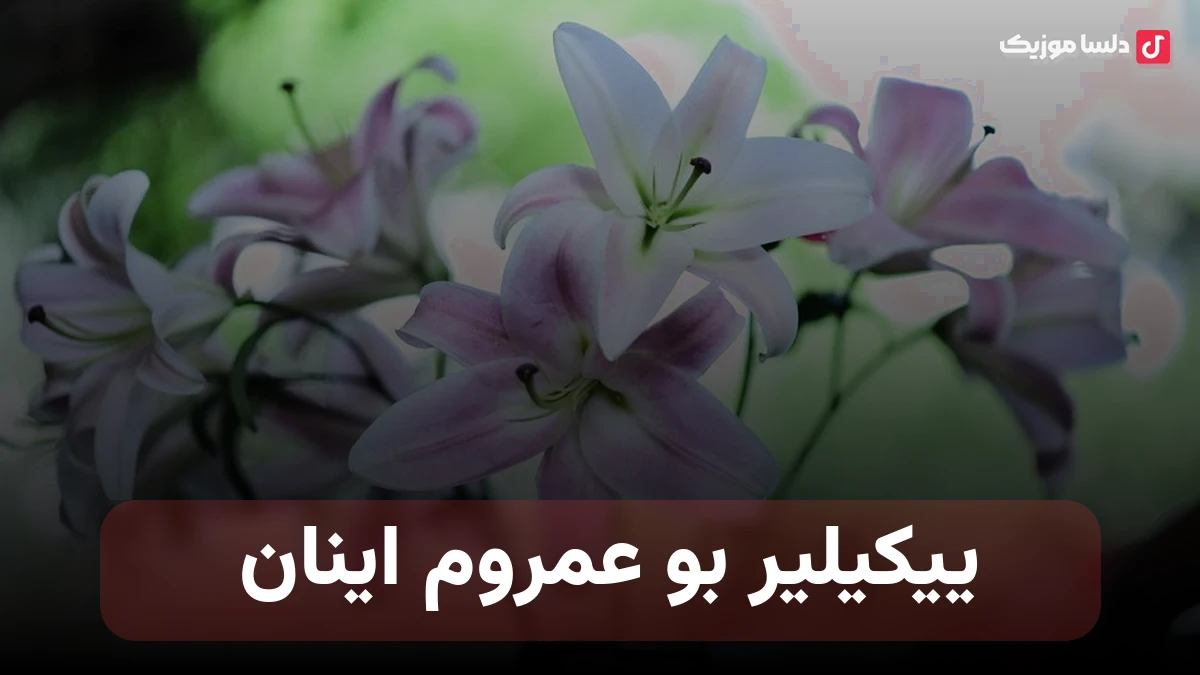 ییکیلیر بو عمروم اینان ترکی صدای زن ریمیکس با تتلو